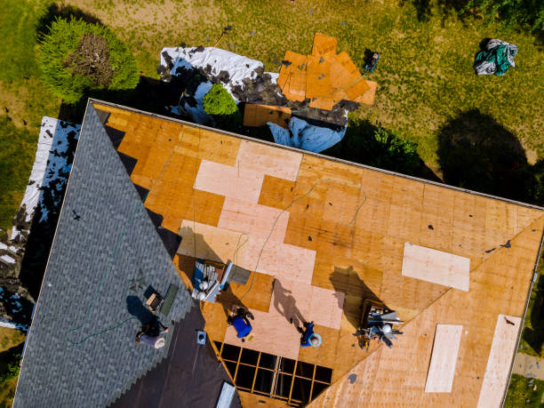 Best Storm Damage Roof Repair  in Webster, TX