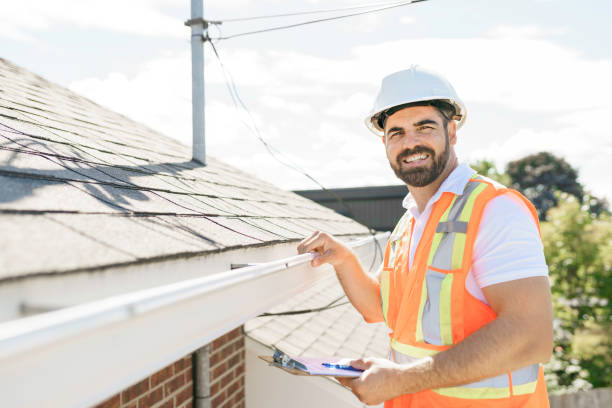 Best Roof Gutter Cleaning  in Webster, TX