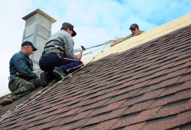 Quick and Trustworthy Emergency Roof Repair Services in Webster, TX